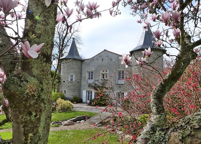 Bed & Breakfast Chateau De Vidaussan 4*