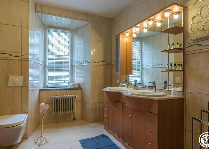 ベッド・アンド・ブレックファスト Chateau De Vidaussan