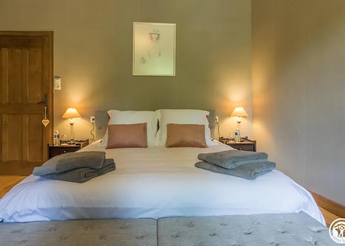 Chateau De Vidaussan ベッド・アンド・ブレックファスト 4*