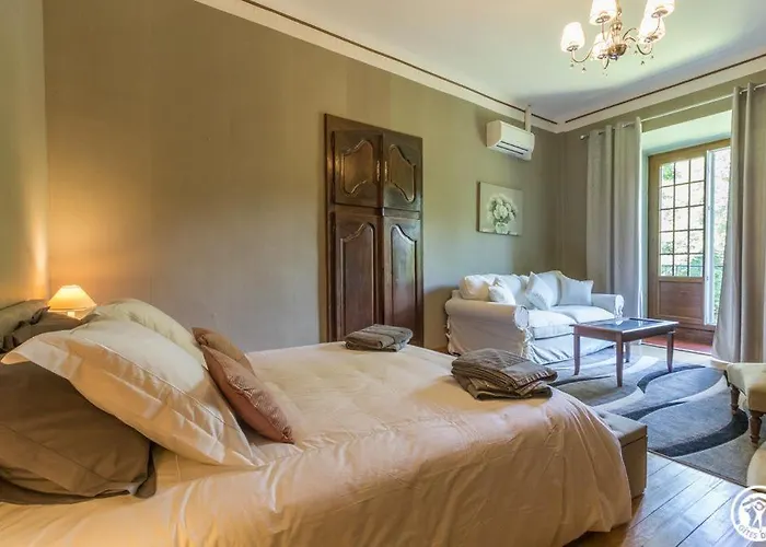 Chateau De Vidaussan